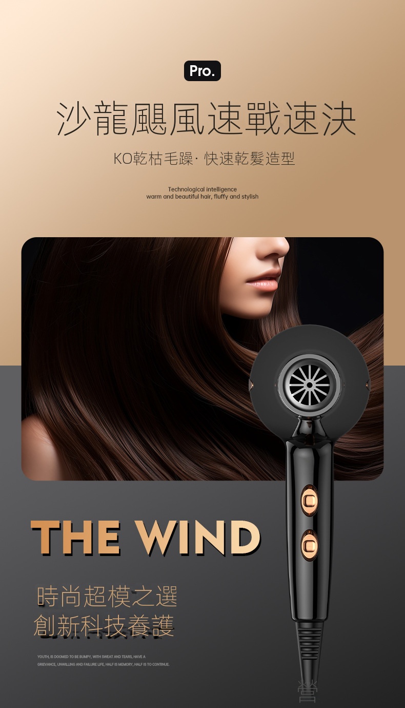 沙龍級重型吹風機 超強風吹風機 寵物吹風機 職業吹風機